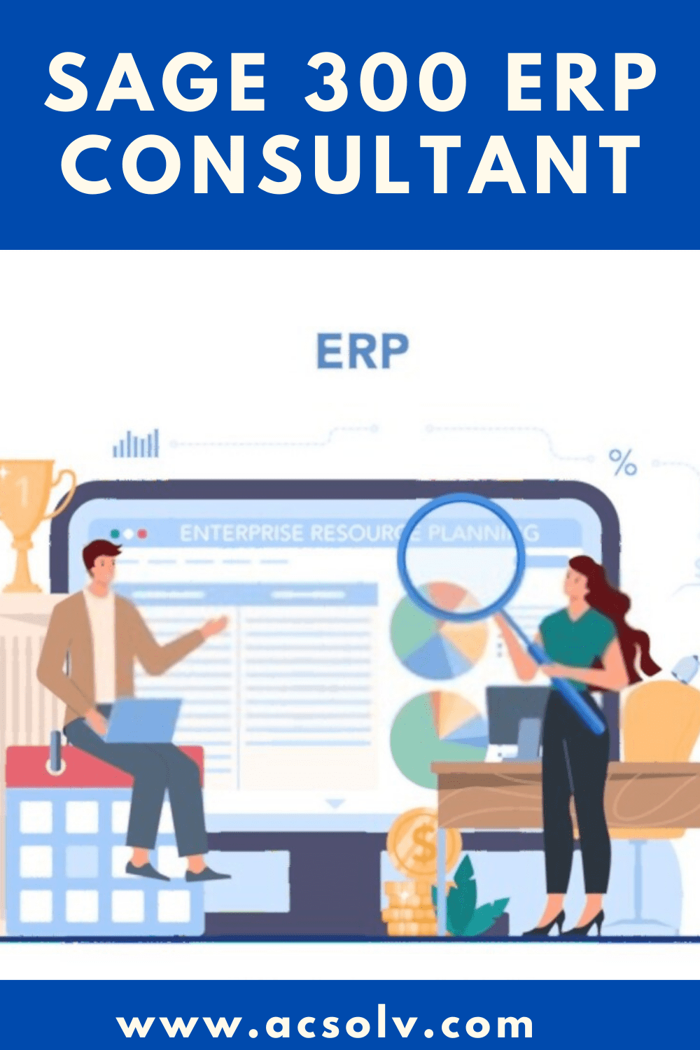 Sage ERP Consultant