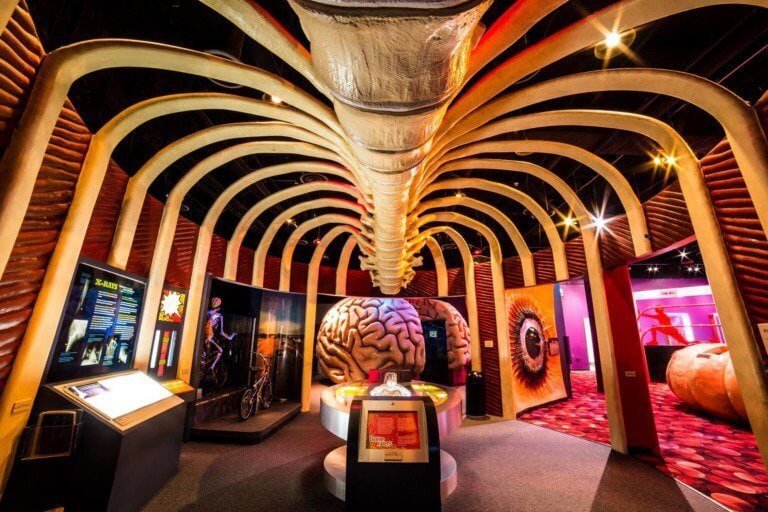 The Health Museum Houston